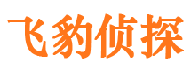 宁阳侦探公司